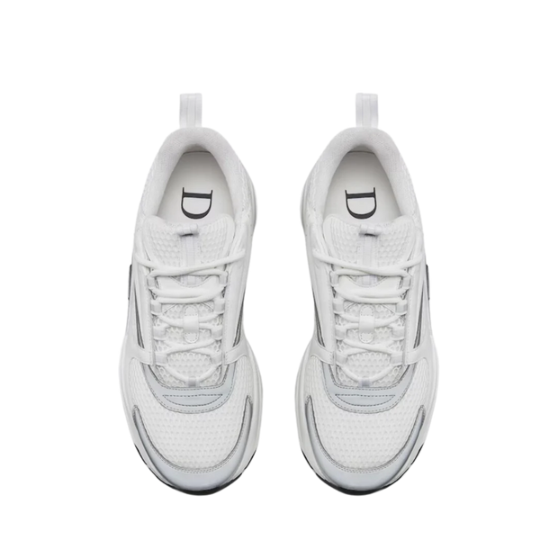 Dior B22 'White Grey'